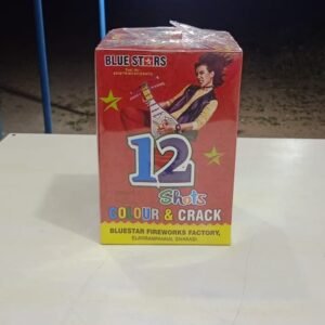 12 Shot